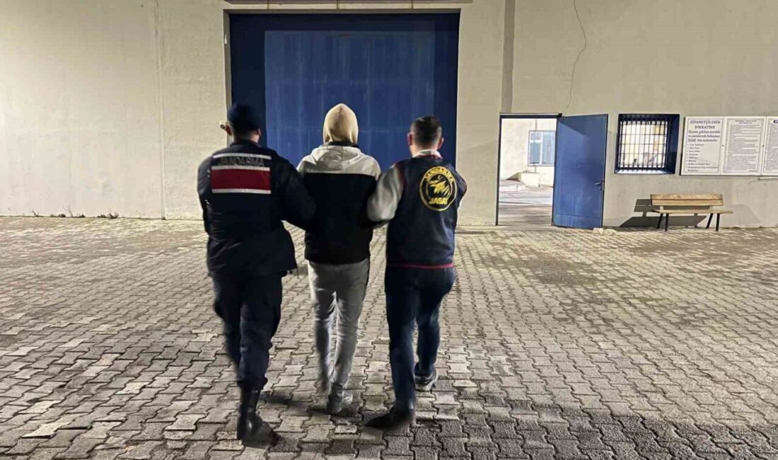 Afyonkarahisar’da farklı tarihlerde yaşanan 13 büyükbaş hayvan hırsızlığını gerçekleştirdiği tespit