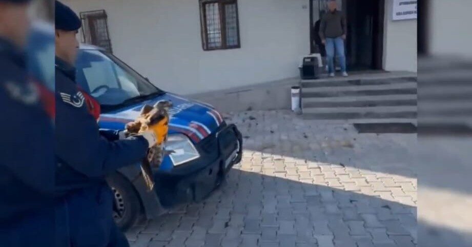 Afyonkarahisar’ın Sandıklı ilçesinde devriye gezen jandarma ekipleri tarafından yaralı halde