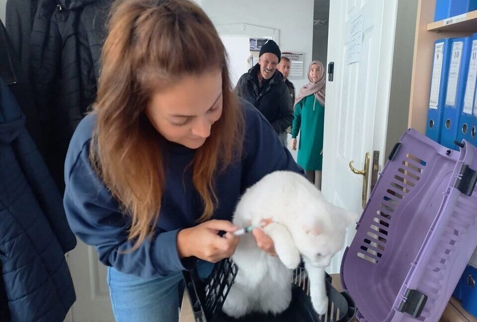 Afyonkarahisar Tarım ve Orman Müdürlüğünden yapılan açıklamada, kedi, köpek ve