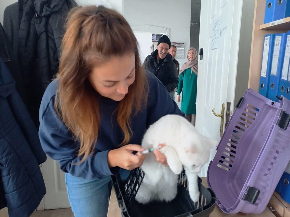 Afyonkarahisar Tarım ve Orman Müdürlüğünden yapılan açıklamada, kedi, köpek ve