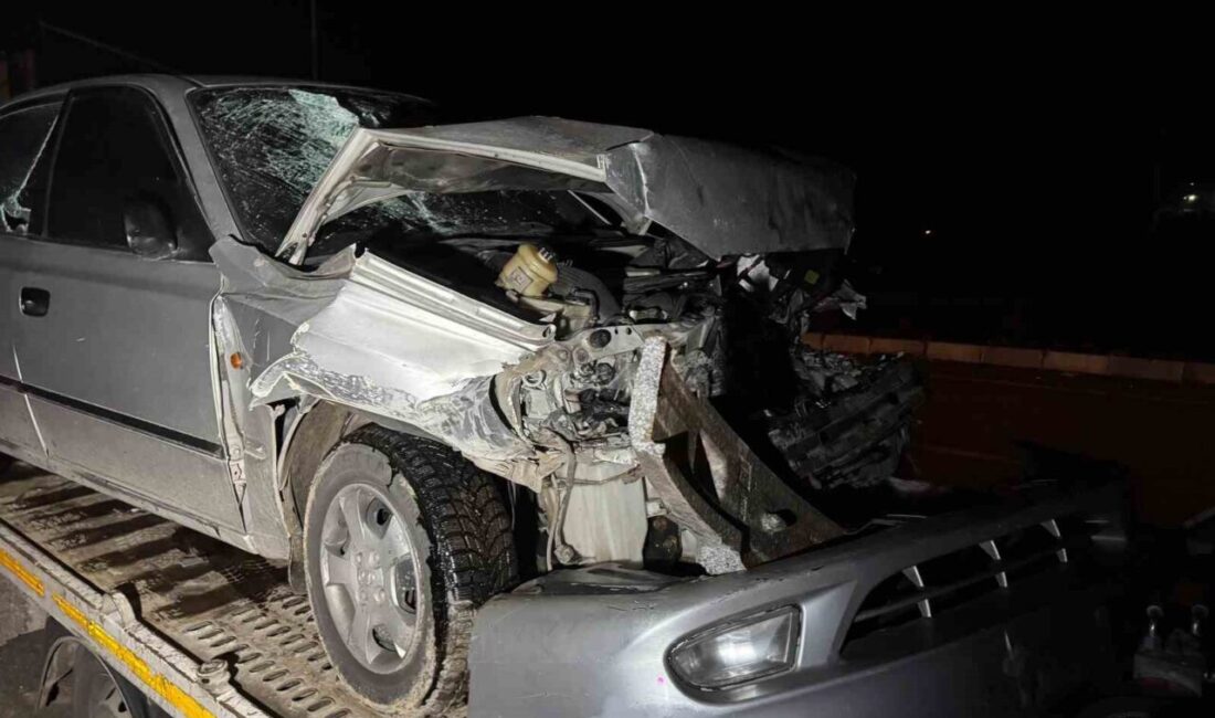 Afyonkarahisar’da otomobilin tıra arakadan çarptığı kazada ikisi çocuk 7 kişi