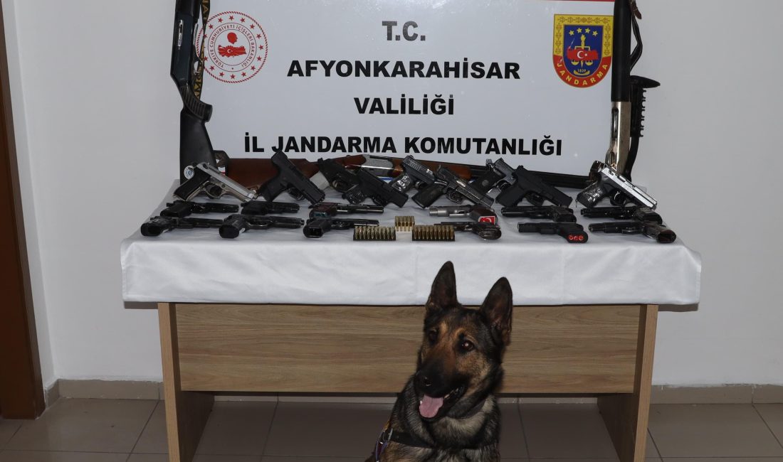 17 adreste tüfek ve tabanca operasyonu Afyonkarahisar’ın Fethibey beldesinde Jandarma ekipleri, 17 adreste eş zamanlı arama