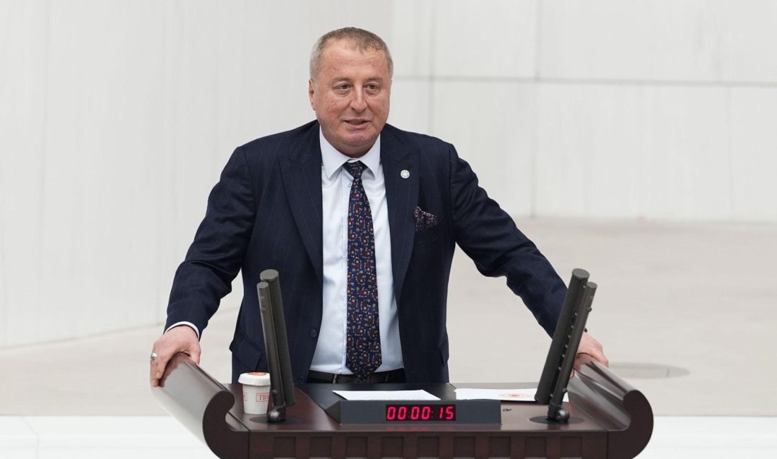 TBMM’de konuşan İYİ Parti Genel Başkan Yardımcısı ve Afyonkarahisar Milletvekili
