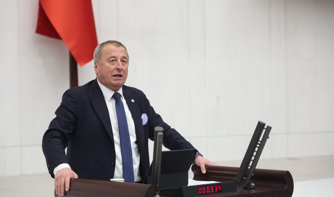 İYİ Parti Genel Başkan Yardımcısı ve Afyonkarahisar Milletvekili Hakan Şeref
