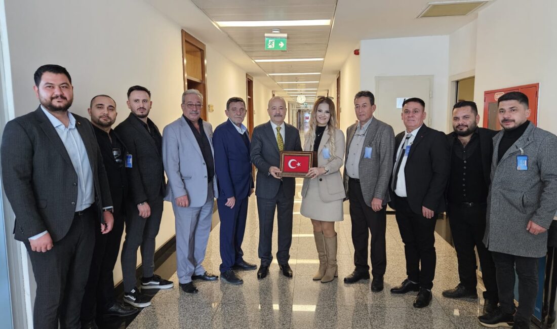 Milliyetçi Hareket Partisi Afyonkarahisar Milletvekili Mehmet Taytak, Özel Eğitim Konfederasyon