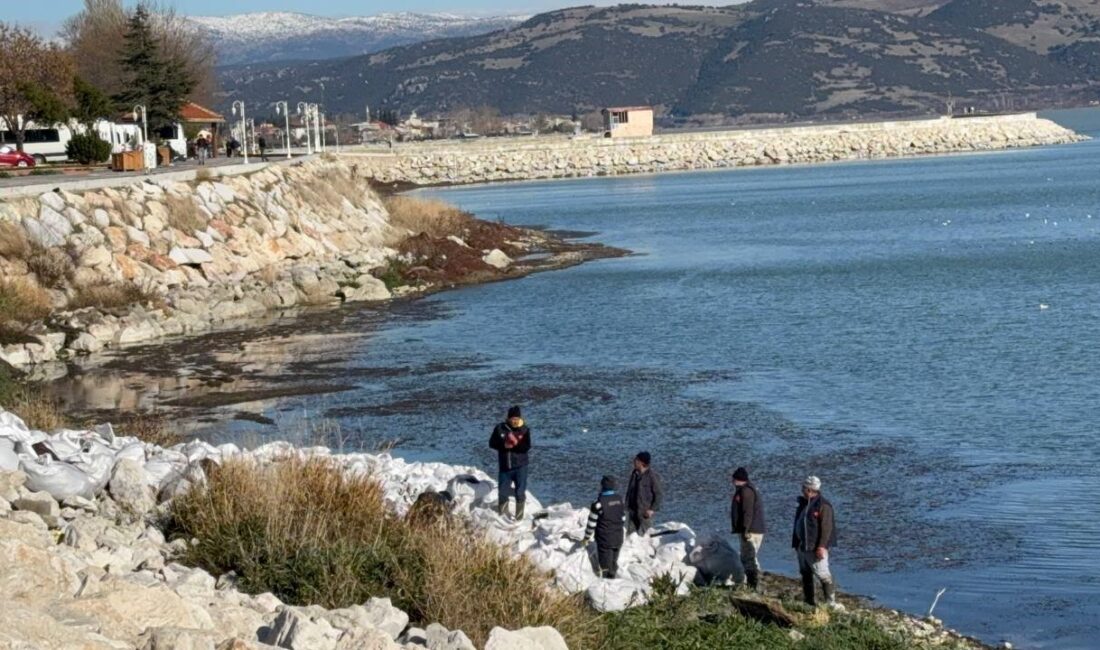 Eğirdir Gölü'nde alg patlaması ve kirliliği önlemek için yosun temizliği