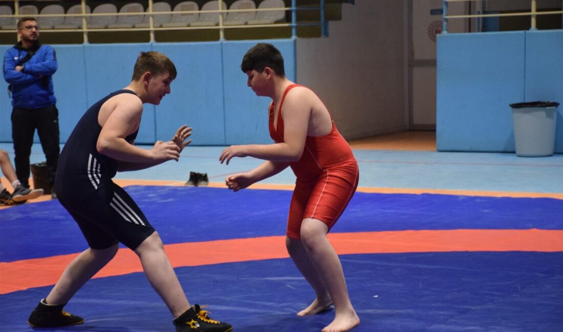 Okul Sporları Yıldız Erkekler Serbest güreş müsabakaları Çiğiltepe Spor Salonu’nda