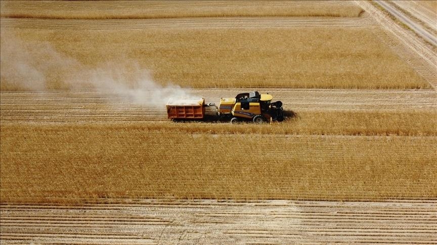 Tarım Ürünleri Üretici Fiyat Endeksi (Tarım ÜFE) Aralık 2024'te bir