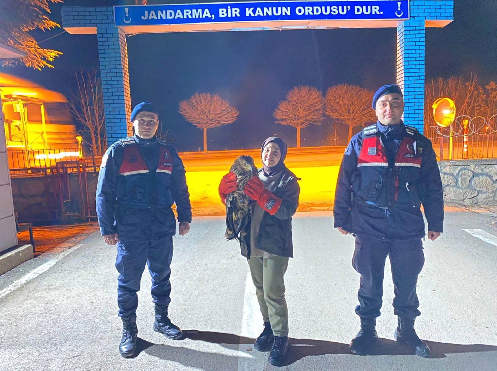Eskişehir'de vatandaşın bulduğu ve jandarma ekiplerine teslim ettiği yaralı kızıl