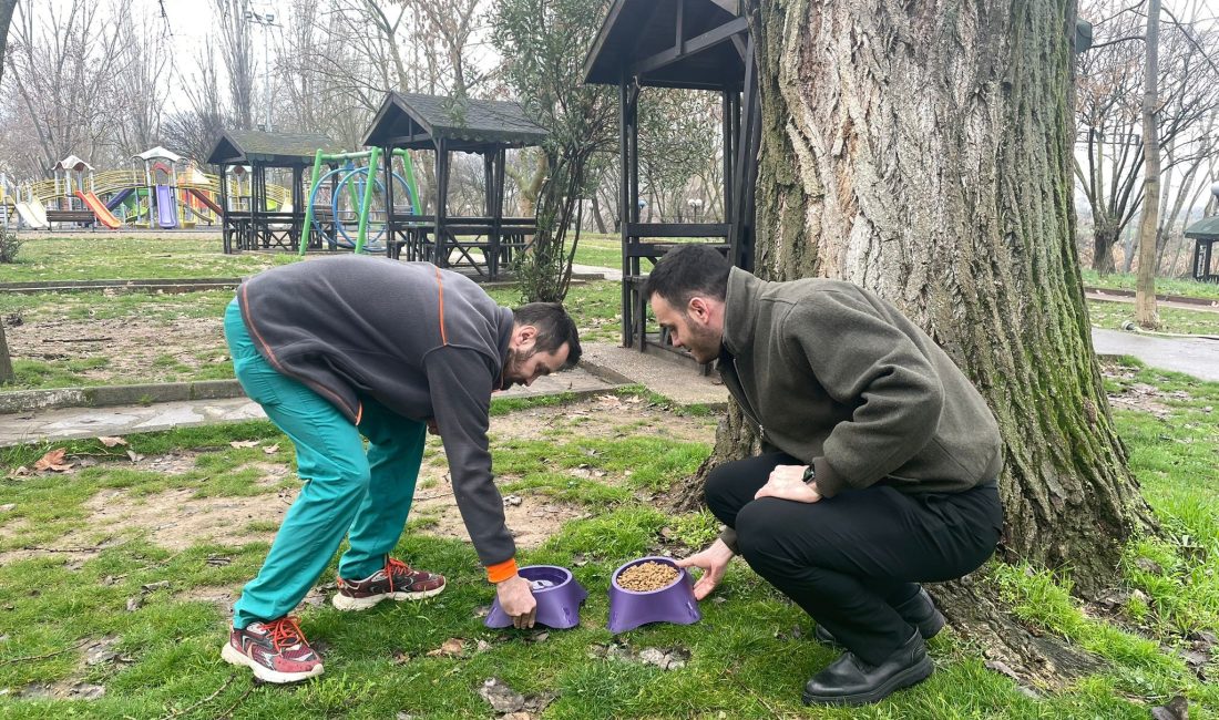 Bilecik'in Osmaneli ilçesinde sokak hayvanları için birçok noktaya mama ve