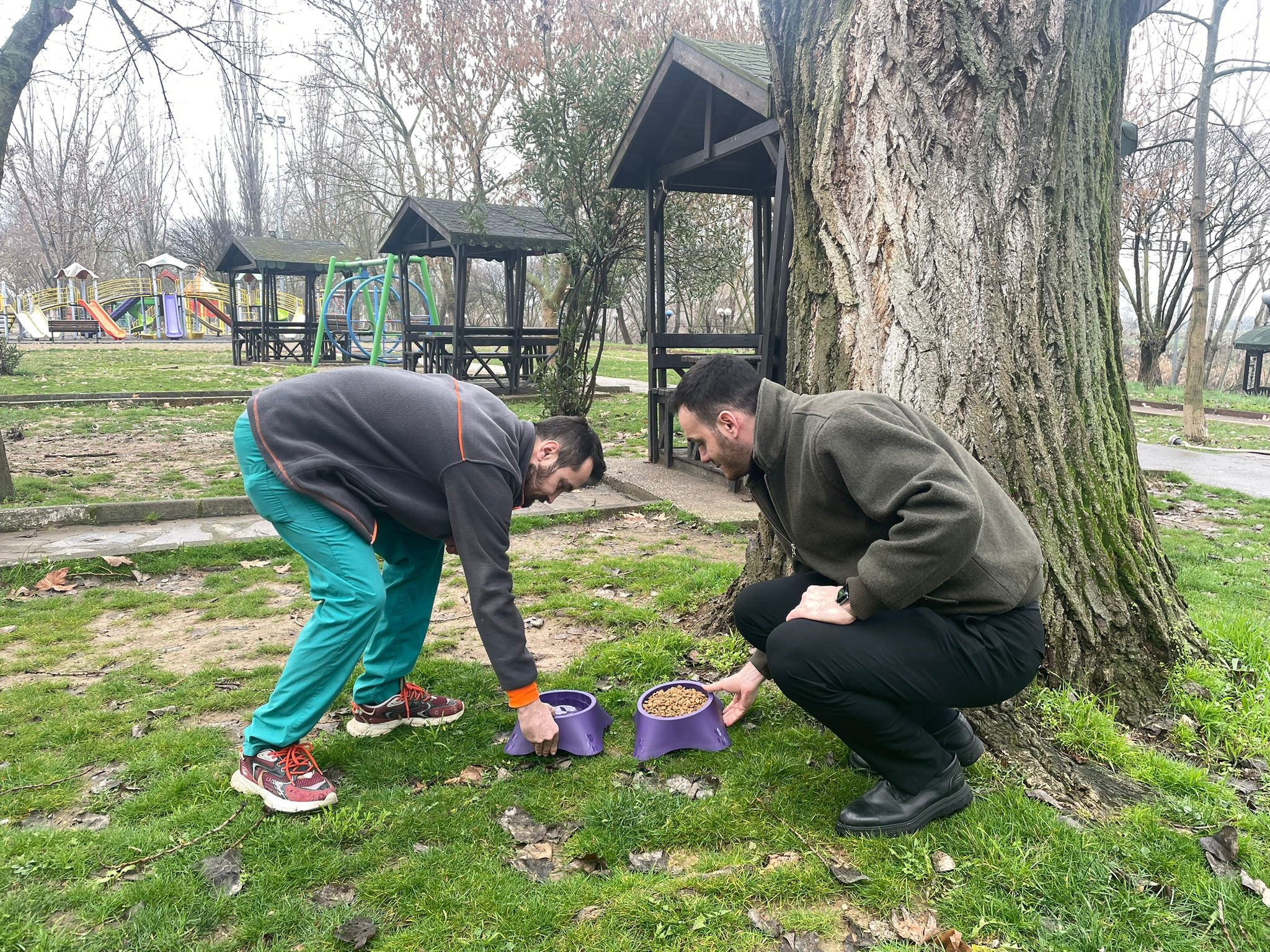 Bilecik'in Osmaneli ilçesinde sokak hayvanları için birçok noktaya mama ve