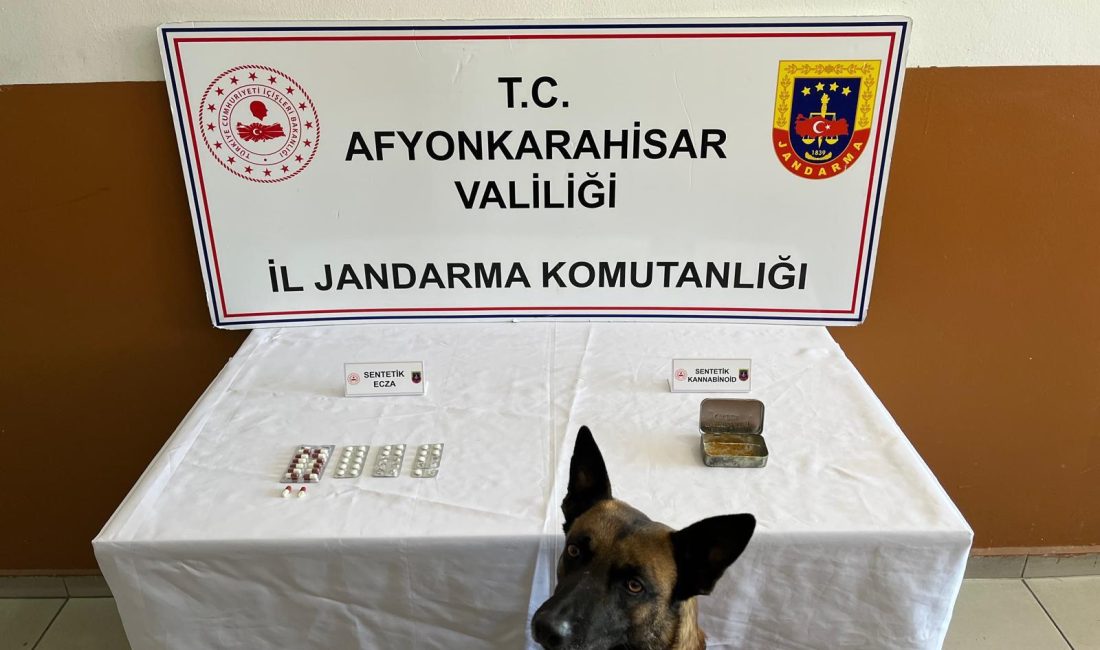 Afyonkarahisar Jandarması, Sinanpaşa’ya bağlı Tınaztepe beldesinde durdurdukları bir araçta uyuşturucu
