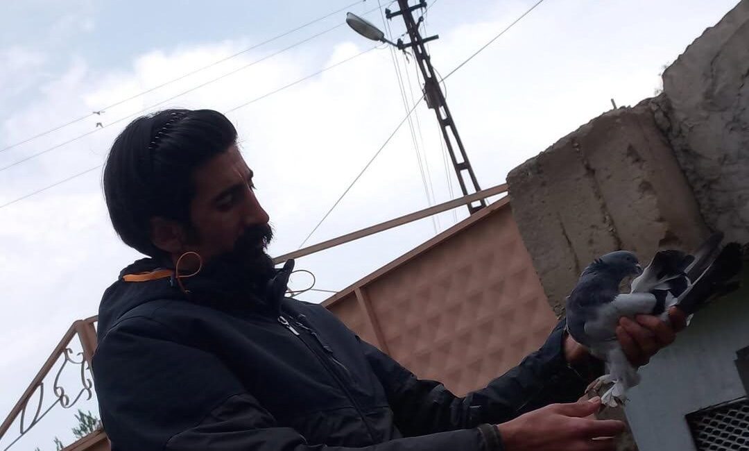 Ağrı Diyadin'de Güvercinleri Soğuktan Koruyan Fedakar Besleyici: Turan Karip