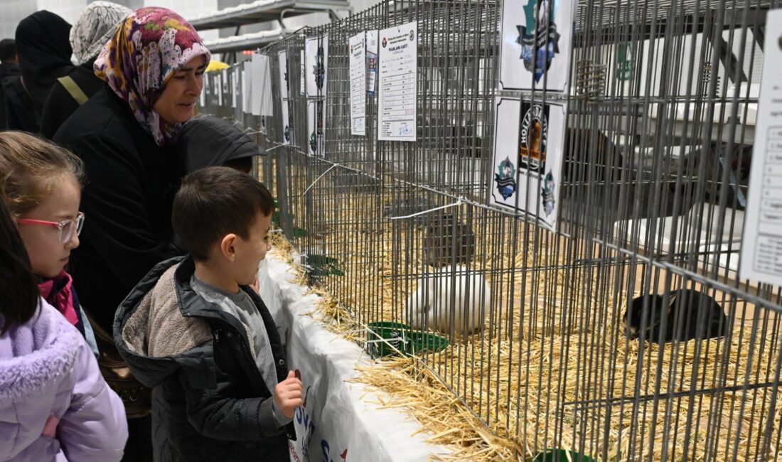 Isparta Belediyesi’nin katkılarıyla Türkiye Süs Tavukları ve Bahçe Hayvanları Federasyonu