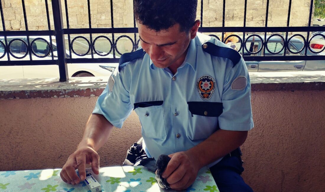 Adana ve Mersin'in Tarsus ilçesinde ailesinden 5 kişiyi öldüren polis
