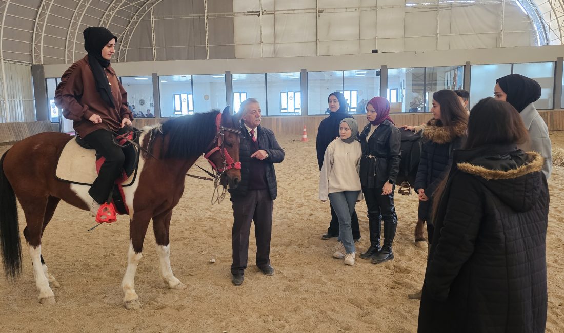 Tomris Hatun Rahvan At Merkezi ve Atlı Sporlar Tesisi bambaşka