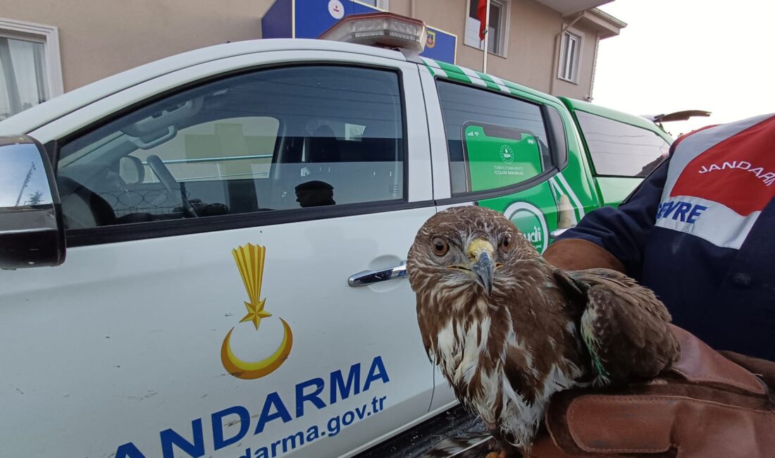 Afyonkarahisar İl Jandarma Komutanlığı Çevre, Doğa ve Hayvanları Koruma Timlerince