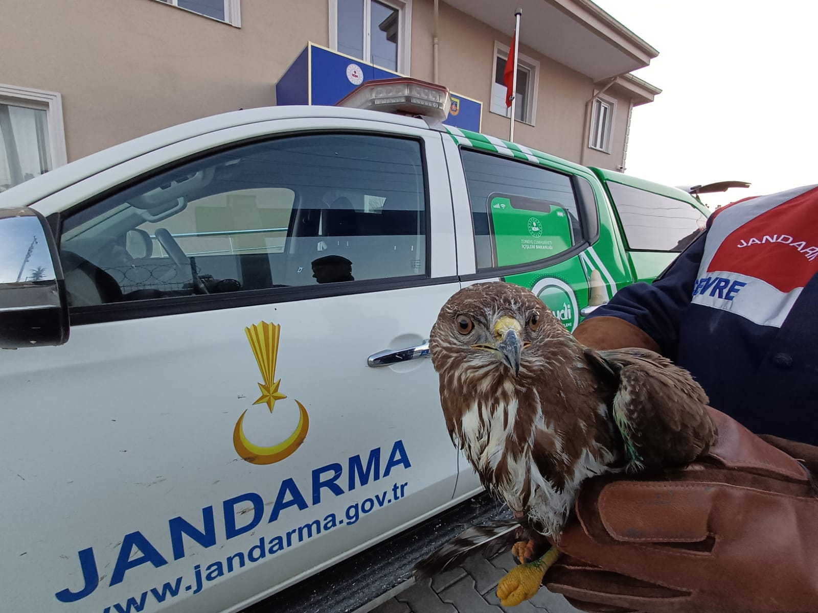 Afyonkarahisar İl Jandarma Komutanlığı Çevre, Doğa ve Hayvanları Koruma Timlerince