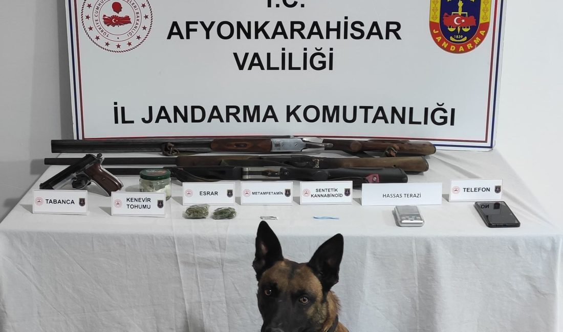 Afyonkarahisar İl Jandarma Komutanlığınca, uyuşturucu ile mücadele kapsamında yapılan titiz