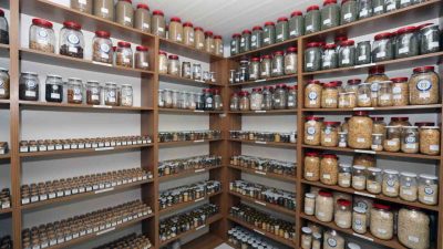 ‘Yerel Tohum Ulusal Güç’ sloganıyla Cumhuriyet’in kuruluşunun 93. yılında hizmete