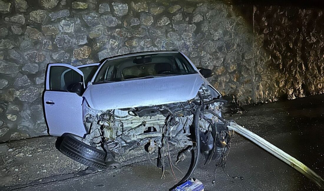 Afyonkarahisar'ın Bayat ilçesinde istinat duvarına çarpan otomobildeki 1'i çocuk 5