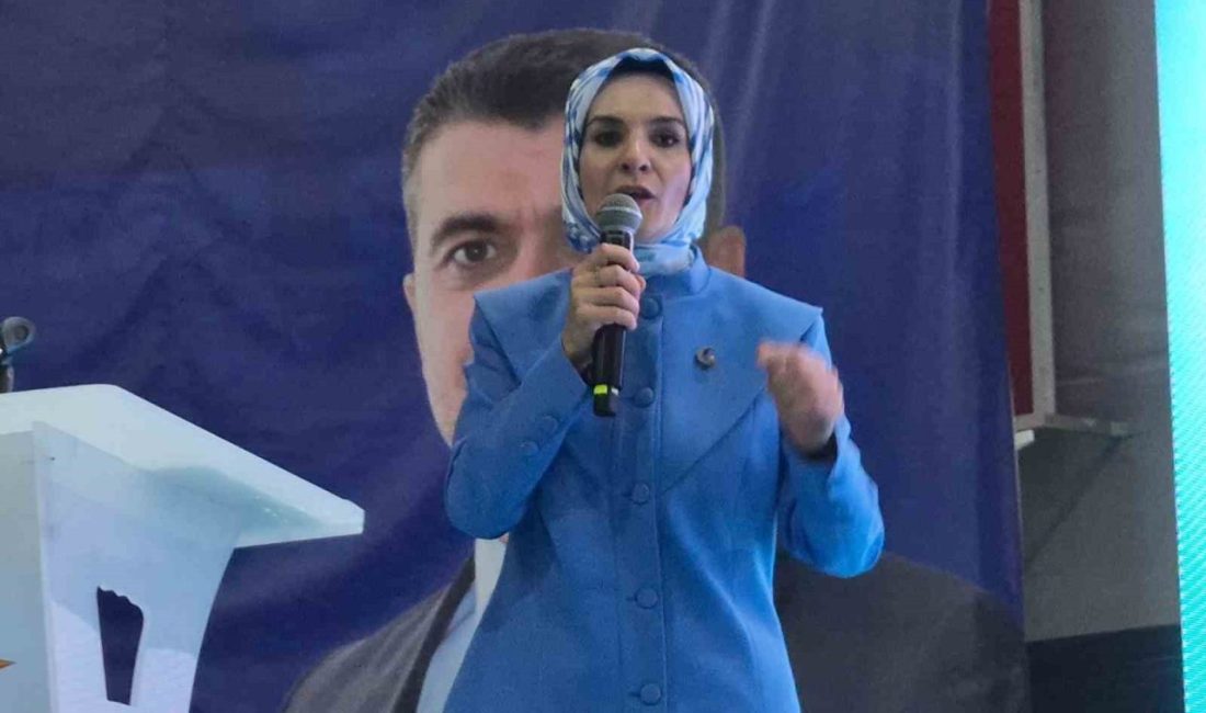 Aile ve Sosyal Hizmetler Bakanı Mahinur Özdemir Göktaş, AK Parti