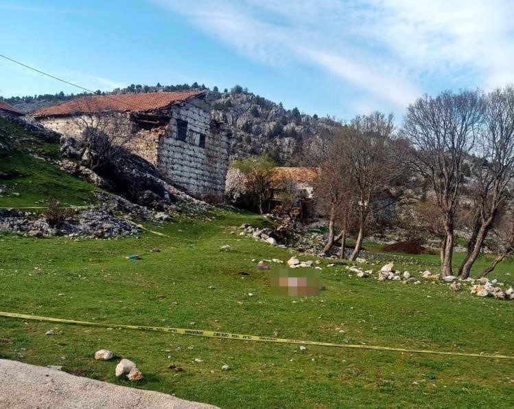 Antalya’da çoban köpeklerinin saldırısında hayatını kaybeden yaşlı kadının oğlu, sanığa