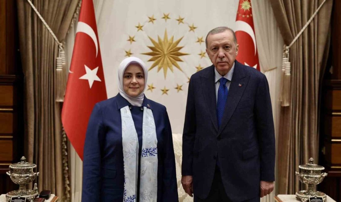 AK Parti Kadın Kolları Başkanlığına İstanbul Milletvekili Ercan aday gösterildi AK Parti Genel Başkan Yardımcısı ve Teşkilat Başkanı Erkan Kandemir,