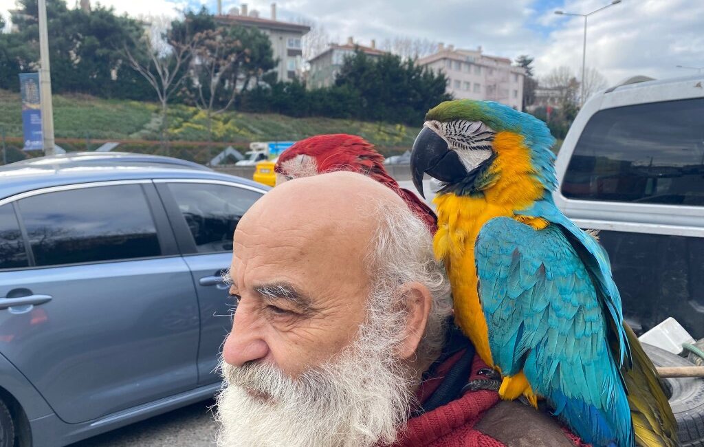 İstanbul’un Beykoz ilçesinde omzunda papağanlarıyla gezen İsmail Karamustafa (70), vatandaşların