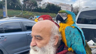 İstanbul’un Beykoz ilçesinde omzunda papağanlarıyla gezen İsmail Karamustafa (70), vatandaşların