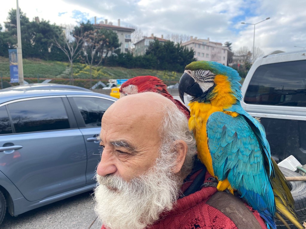 İstanbul’un Beykoz ilçesinde omzunda papağanlarıyla gezen İsmail Karamustafa (70), vatandaşların
