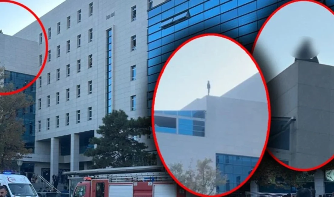 1 Kasım 2024'te TBMM’de intihar girişiminde bulunan işsiz psikolog S.F.,