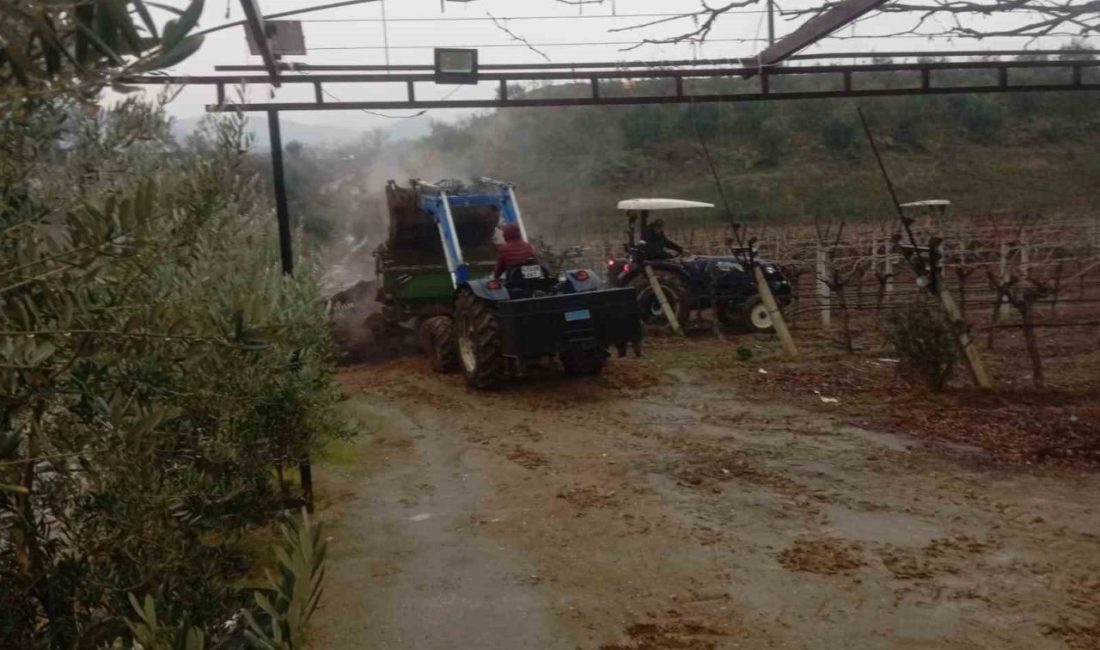 Manisa’nın Sarıgöl ilçesinde öğleden sonra başlayan sağanak yağmur çiftçilere sevindirdi.