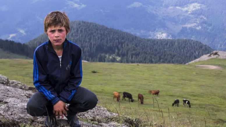 Jandarma ve Emniyet Genel Müdürlüğü ile PKK'lı teröristler arasında Trabzon'daki