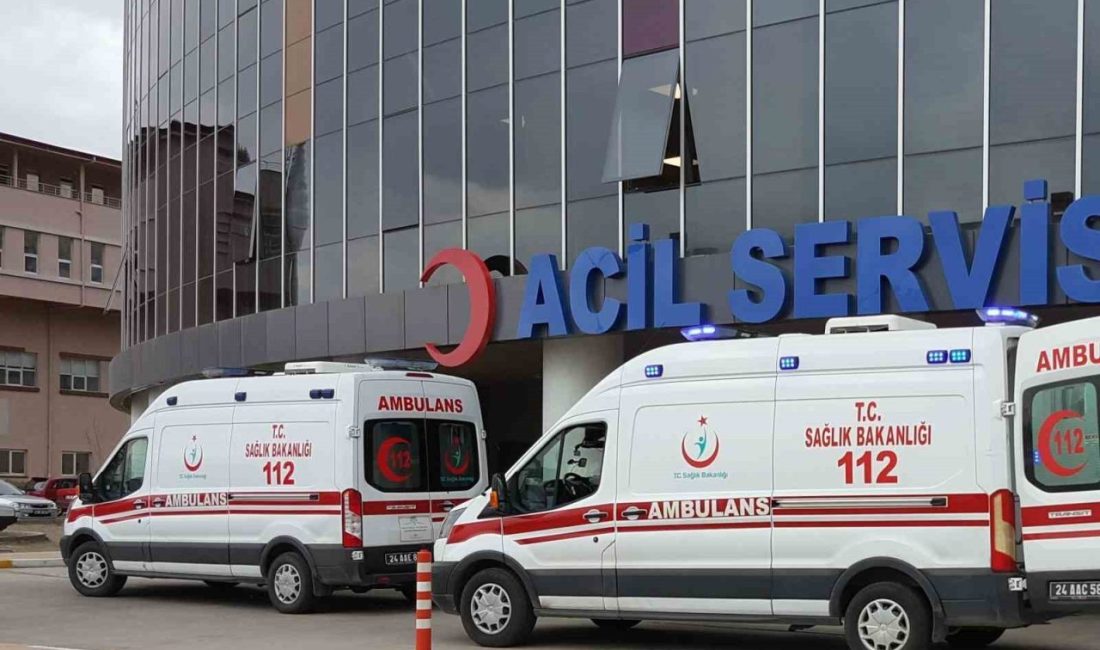Karbonmonoksitten zehirlenen kadın hastanede öldü Erzincan’da sobadan sızan karbonmonoksit gazından zehirlenen iki çocuk annesi kadın