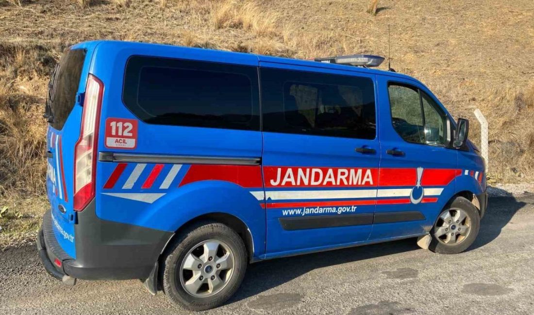 Aydın’ın Kuyucak ilçesinde jandarma ekipleri köpek dövüşüne baskın yaptı. Yapılan