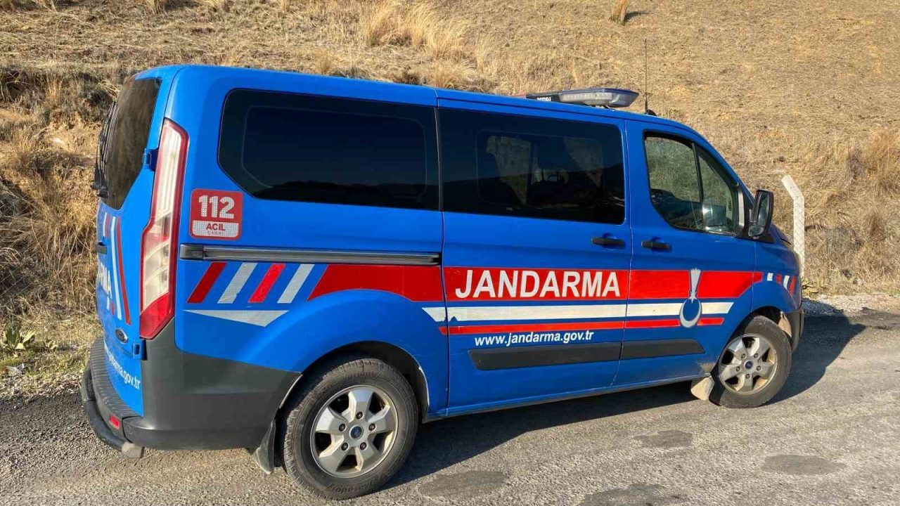 Aydın’ın Kuyucak ilçesinde jandarma ekipleri köpek dövüşüne baskın yaptı. Yapılan