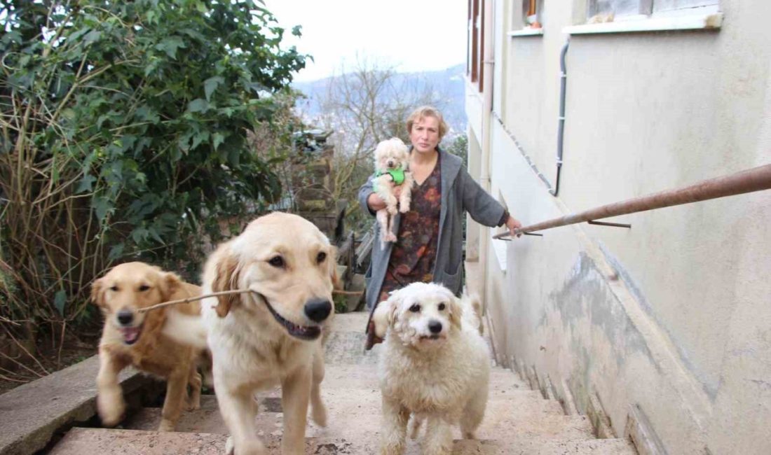 Trabzon’un Ortahisar ilçesinde yaşayan Nurhayat Aslanoğlu, 6 yıl önce çocukluk