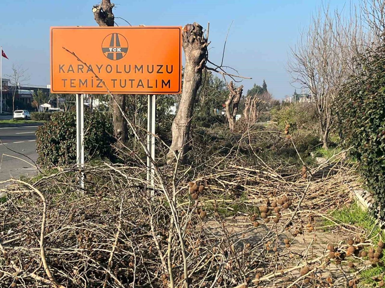 Aydın’ın Efeler ilçesinde karayolları ekipleri tarafından kesilen ağaçların dalları yürüyüş