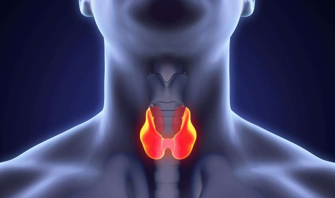 Endokrinoloji ve Metabolizma Hastalıkları Bölümü'nden Doç. Dr. Erkam Sencar, tiroid