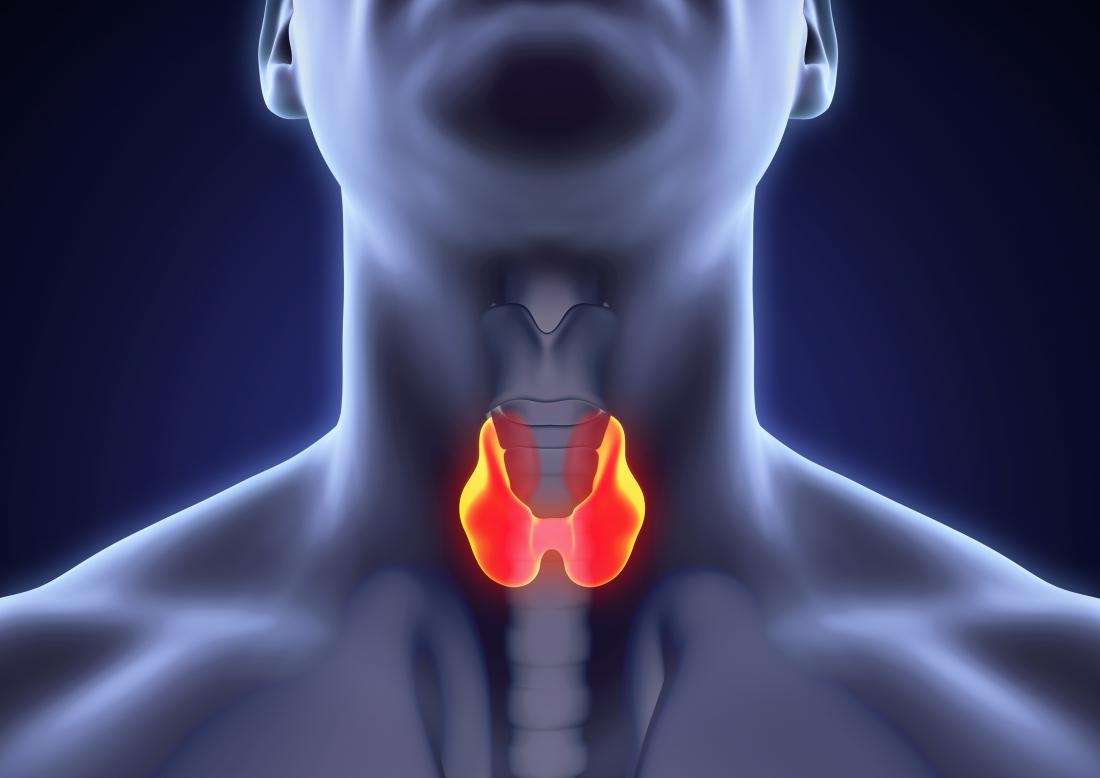 Endokrinoloji ve Metabolizma Hastalıkları Bölümü'nden Doç. Dr. Erkam Sencar, tiroid