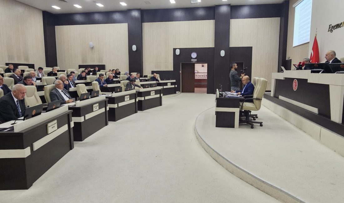 Afyonkarahisar’da Valilik Sokak Hayvanları Birliği kurulması için harekete geçti. Belediyeler