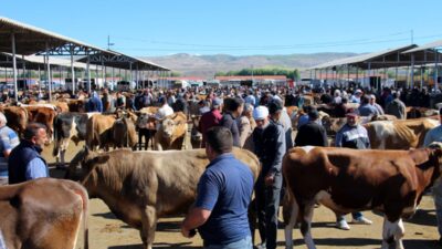 T.C. Tarım ve Orman Bakanlığı Gıda ve Kontrol Genel Müdürlüğü,