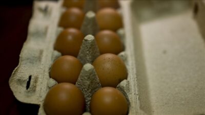 Yumurta Üreticileri Merkez Birliği (YUM-BİR) Başkanı İbrahim Afyon, "ABD, çok