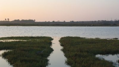 170 ülkenin imzaladığı 1977 yılında yürürlüğe giren Ramsar Sözleşmesi’ne dahil