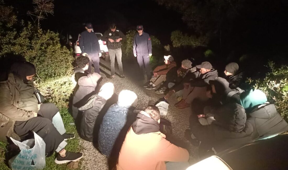 Muğla'nın Bodrum ilçesinde 17 düzensiz göçmen yakalandı.