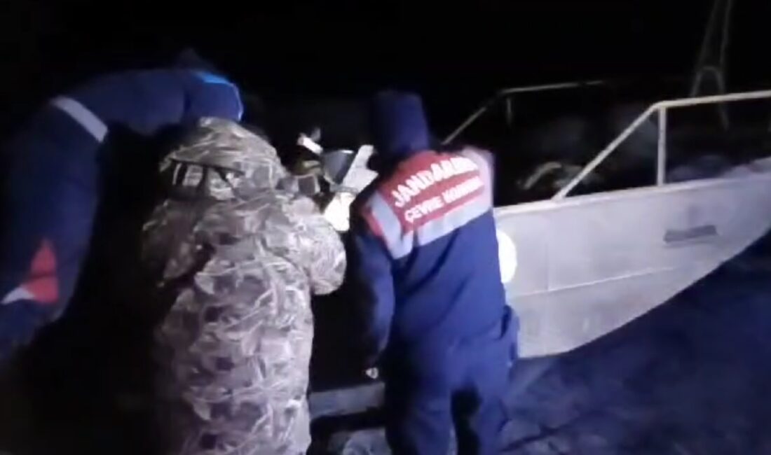 Afyonkarahisar İl Jandarma Komutanlığı, hayvanları koruma için çalışmalarına ilgili kurumlarla