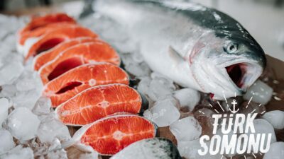 
Türk su ürünleri sektörü 2024 yılında ihracatta 2 milyar dolar