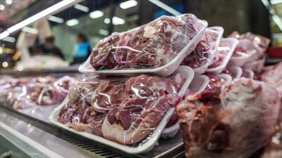 
Tarım ve Orman Bakanlığı, Et ve Süt Kurumu (ESK) ile