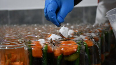 Bilecik'in merkeze bağlı Küplü köyünde "hardal tohumlu turşu" üretim tesisi